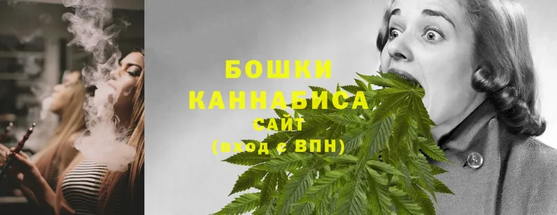 Магазины продажи наркотиков Луга Гашиш  Cocaine  АМФЕТАМИН  Каннабис  Меф мяу мяу  Alpha-PVP 